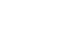 Fintis Logo